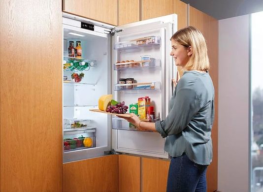 Вбудований холодильник FBF 0256